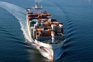 中国到新西兰国际海运双清到门 广州东际国际物流公司 全球海运拼箱 空运 仓储 配送服务